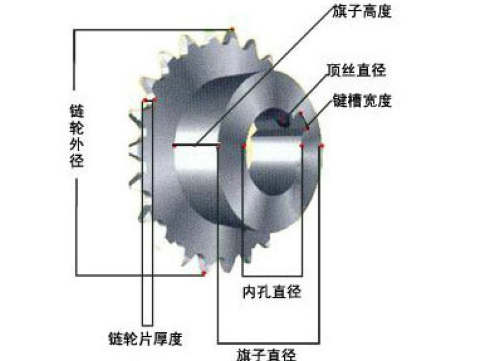 鏈輪示意圖